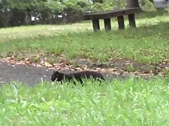 ZEPE87_02 Summer Splash-Hot Japanese Girls in a Steamy Poolside Orgy!