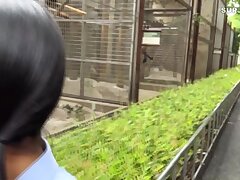 FC2-PPV-4269710 Sensual Asian Night-Passionate Pleasure with a Powerful Lover